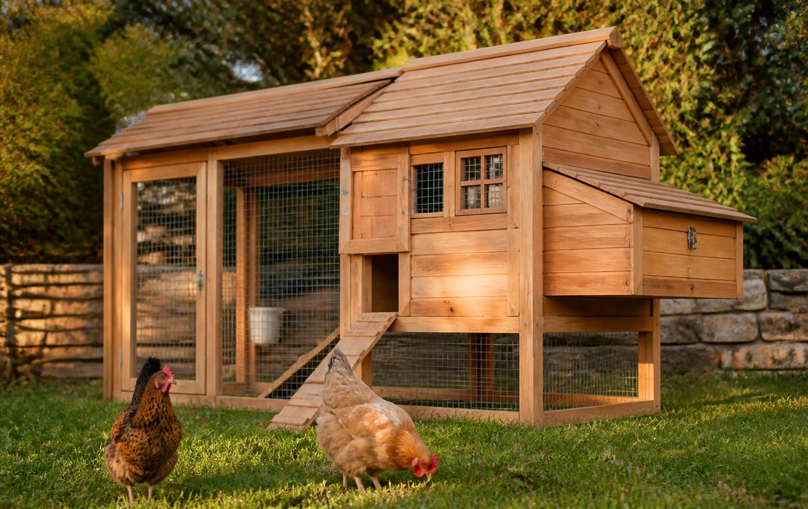 Chicken coop project estimated with DIY-Blueprint-Pro